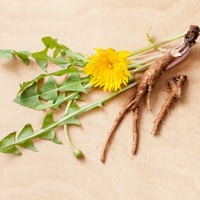 Dandelion Root Raw Organic