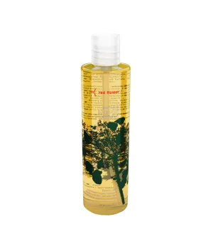 Wanderlust Body Wash